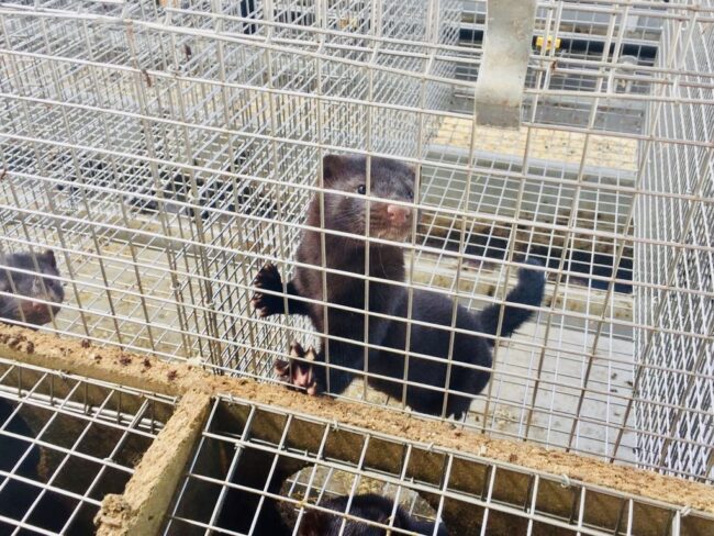 d5d091f7-8933-45e9-9dd5-ca660d2ed501