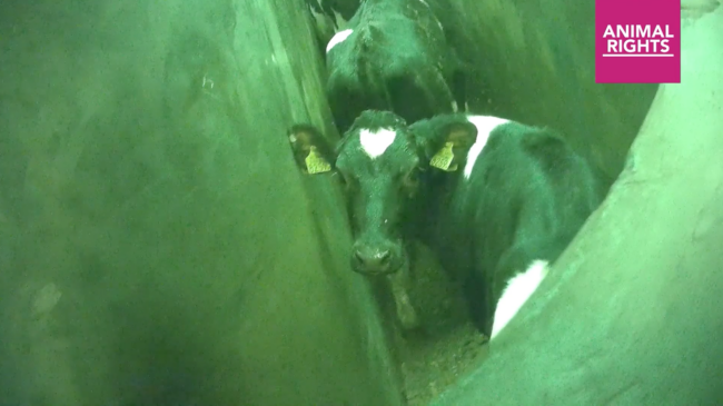 Schermafbeelding 2023-09-10 om 08.34.50