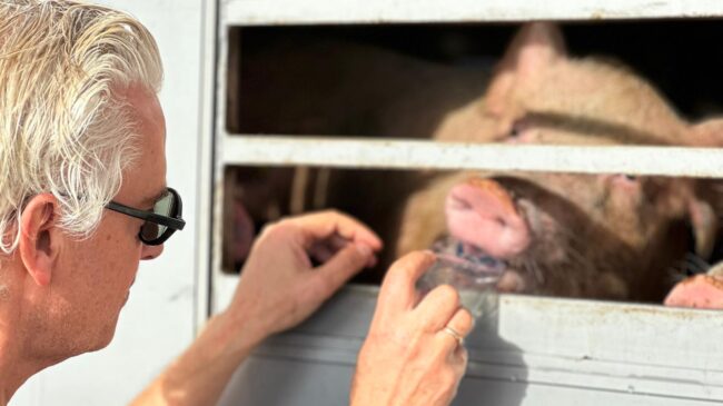 068361f9-71b3-4ea7-a35a-885100393705